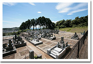 区画整備された高級感溢れる墓地